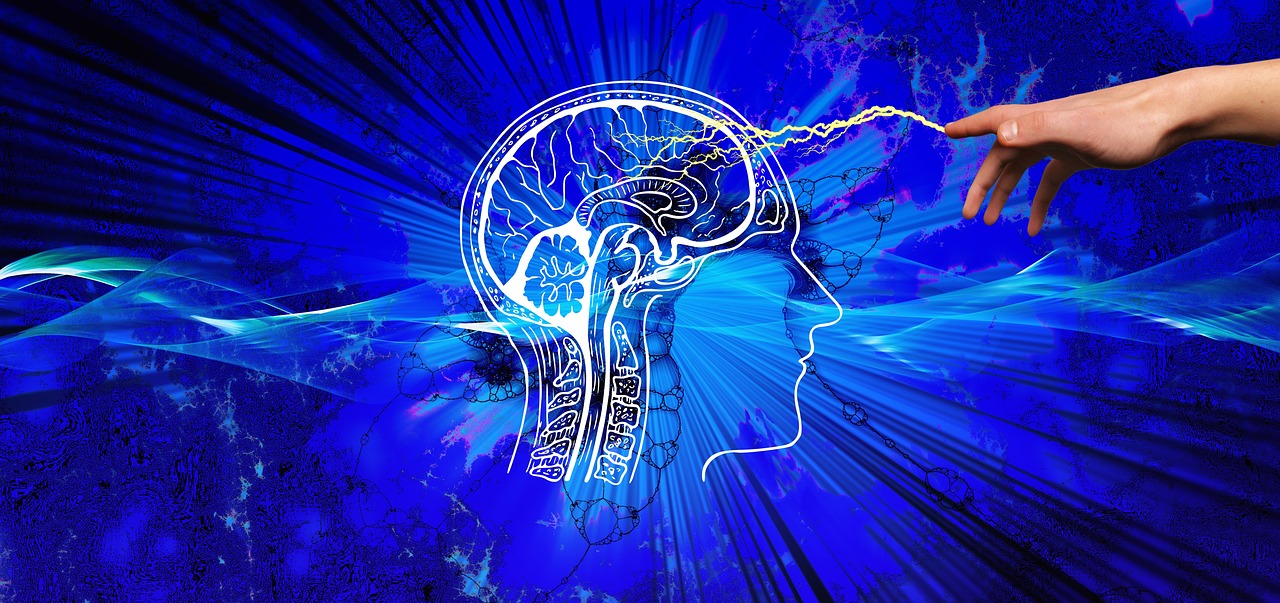 procesos cognitivos